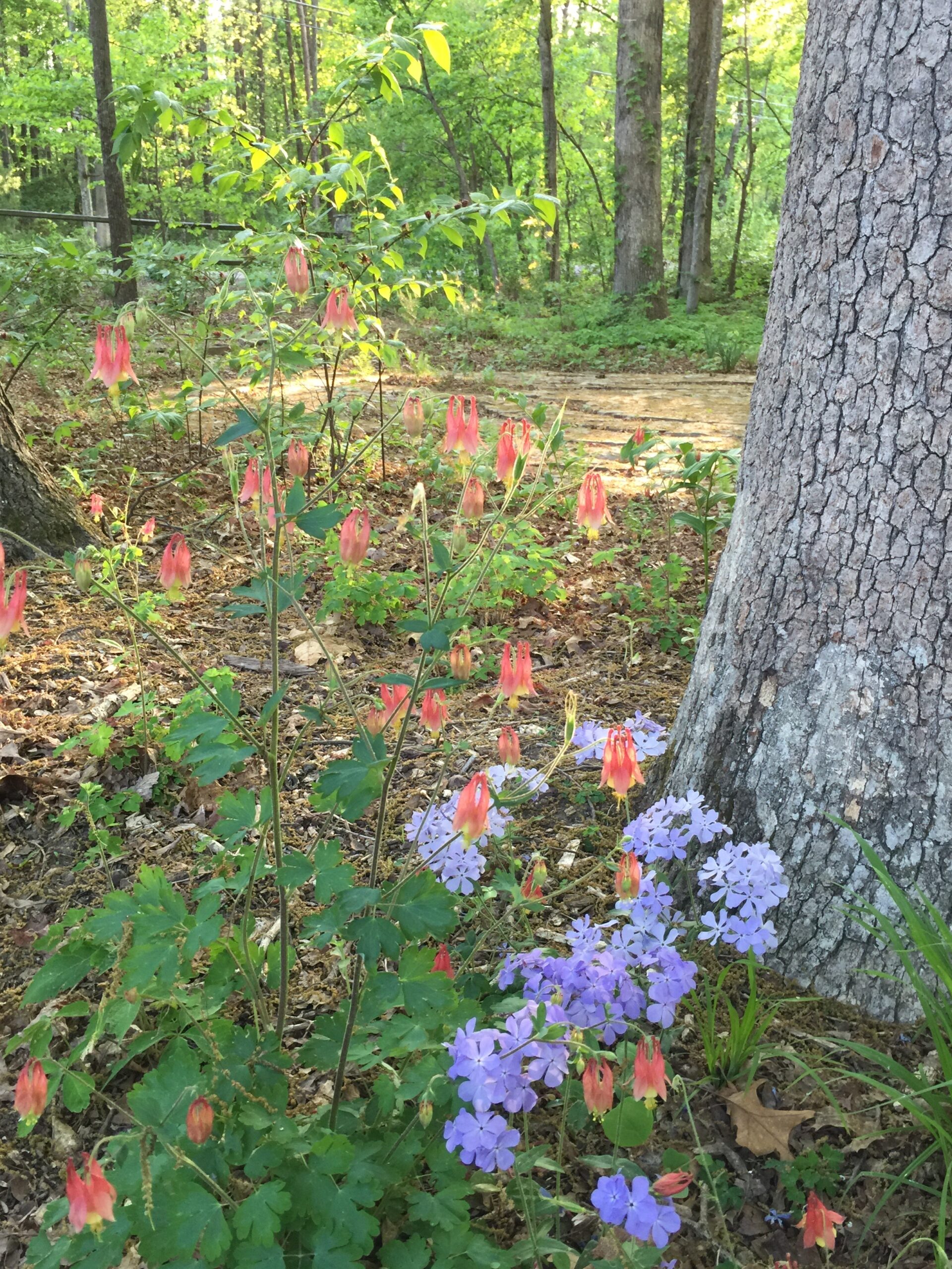 Notes from April